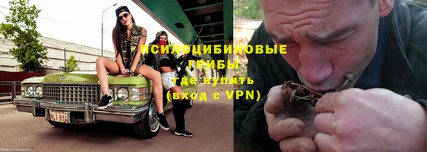 не бодяженный Алексин