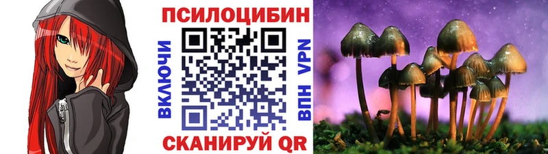это клад  Ярцево  Галлюциногенные грибы Psilocybine cubensis 