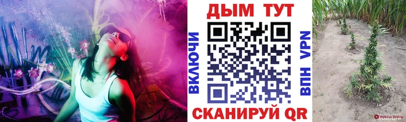 Бошки марихуана Bruce Banner Ярцево